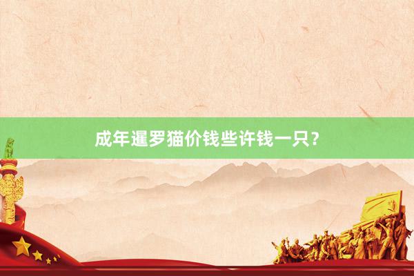 成年暹罗猫价钱些许钱一只？